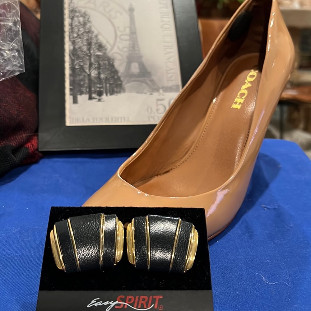 Shoe Clips